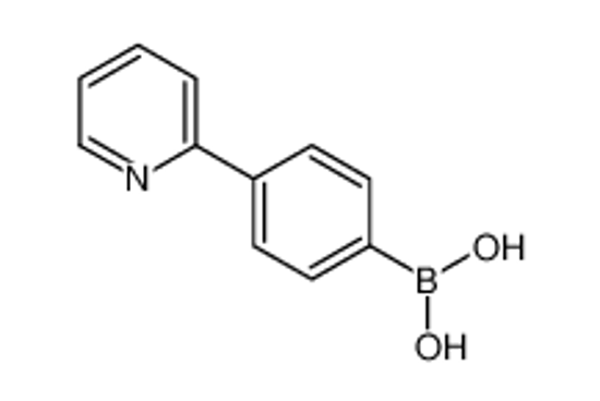 Изображение (4-pyridin-2-ylphenyl)boronic acid