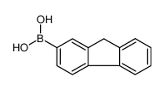 Imagem de 9H-Fluoren-2-ylboronic acid
