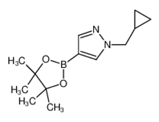 Изображение 1-(Cyclopropylmethyl)-4-(4,4,5,5-tetramethyl-1,3,2-dioxaborolan-2-yl)-1H-pyrazole