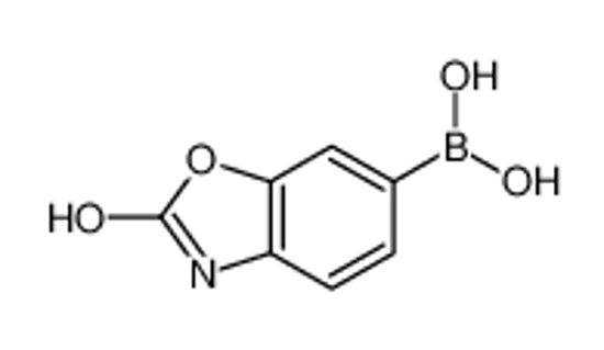 Picture of (2-oxo-3H-1,3-benzoxazol-6-yl)boronic acid
