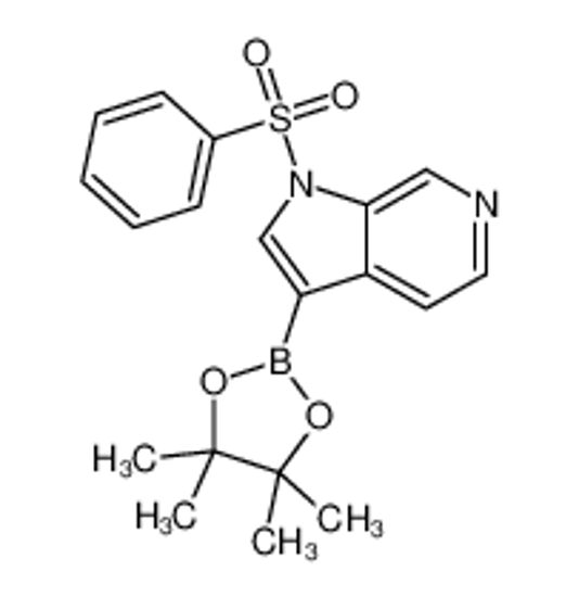 Picture of 1-(benzenesulfonyl)-3-(4,4,5,5-tetramethyl-1,3,2-dioxaborolan-2-yl)pyrrolo[2,3-c]pyridine