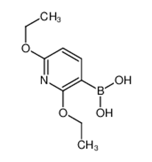 Picture of (2,6-Diethoxypyridin-3-yl)boronic acid