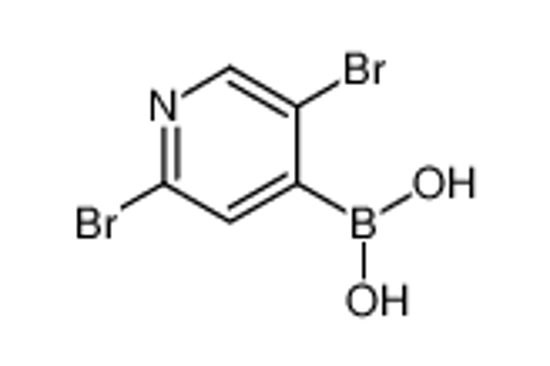 Picture of (2,5-Dibromopyridin-4-yl)boronic acid