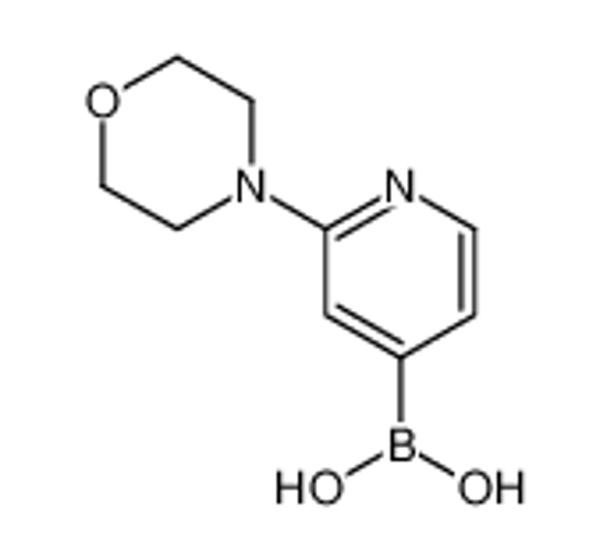 Picture of (2-morpholin-4-ylpyridin-4-yl)boronic acid