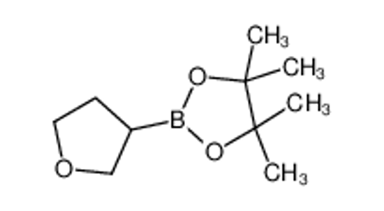 Imagem de 4,4,5,5-tetramethyl-2-(oxolan-3-yl)-1,3,2-dioxaborolane