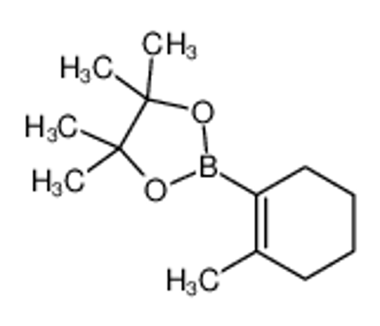 Picture of 4,4,5,5-Tetramethyl-2-(2-methyl-1-cyclohexen-1-yl)-1,3,2-dioxabor olane