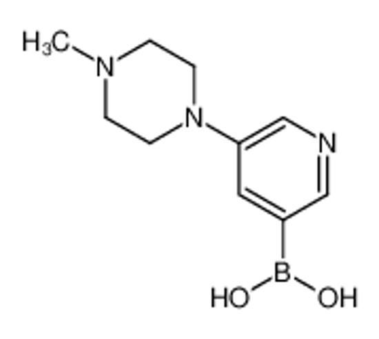 Picture of [5-(4-methylpiperazin-1-yl)pyridin-3-yl]boronic acid