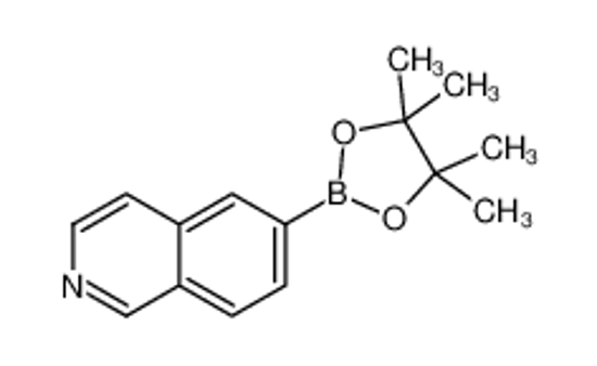 Picture of 6-(4,4,5,5-Tetramethyl-1,3,2-dioxaborolan-2-yl)isoquinoline