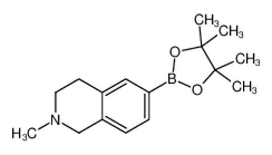 Изображение 2-methyl-6-(4,4,5,5-tetramethyl-1,3,2-dioxaborolan-2-yl)-3,4-dihydro-1H-isoquinoline