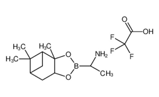 Imagem de (R)-BoroVal-(+)-Pinanediol-CF3CO2H