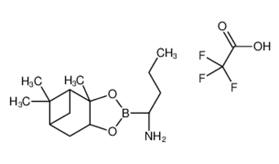 Picture of (R)-BoroAbu-(+)-Pinanediol-CF3CO2H
