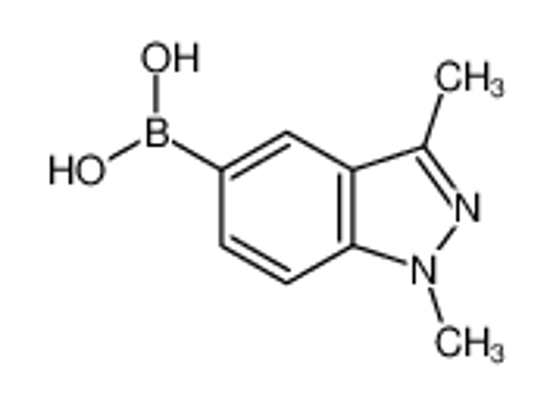 Picture of (1,3-dimethylindazol-5-yl)boronic acid