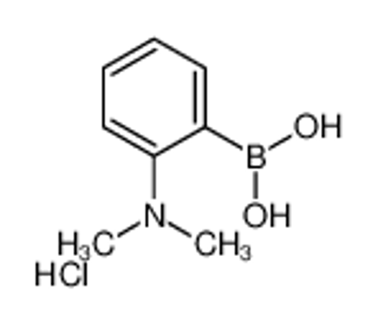Picture of [2-(Dimethylamino)phenyl]boronic acid hydrochloride (1:1)