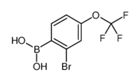 Picture of [2-Bromo-4-(trifluoromethoxy)phenyl]boronic acid