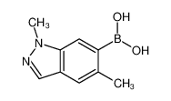 Picture of (1,5-Dimethyl-1H-indazol-6-yl)boronic acid