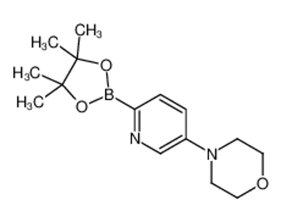 Picture of 4-[6-(4,4,5,5-tetramethyl-1,3,2-dioxaborolan-2-yl)pyridin-3-yl]morpholine