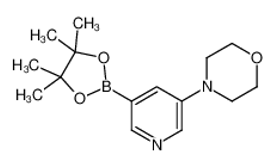 Picture of 4-[5-(4,4,5,5-tetramethyl-1,3,2-dioxaborolan-2-yl)pyridin-3-yl]morpholine