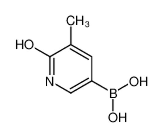 Picture of (5-methyl-6-oxo-1H-pyridin-3-yl)boronic acid