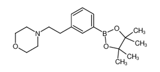 Picture of 4-[2-[3-(4,4,5,5-tetramethyl-1,3,2-dioxaborolan-2-yl)phenyl]ethyl]morpholine