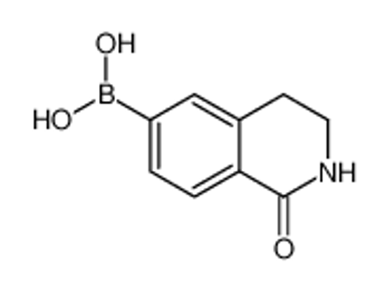 Picture of (1-oxo-3,4-dihydro-2H-isoquinolin-6-yl)boronic acid