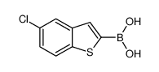Изображение (5-Chloro-1-benzothiophen-2-yl)boronic acid