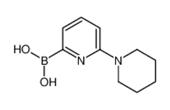 Picture of (6-piperidin-1-ylpyridin-2-yl)boronic acid