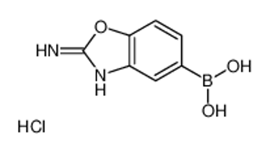 Picture of (2-amino-1,3-benzoxazol-5-yl)boronic acid,hydrochloride