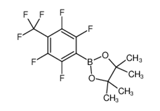Изображение 4,4,5,5-Tetramethyl-2-[2,3,5,6-tetrafluoro-4-(trifluoromethyl)phe nyl]-1,3,2-dioxaborolane