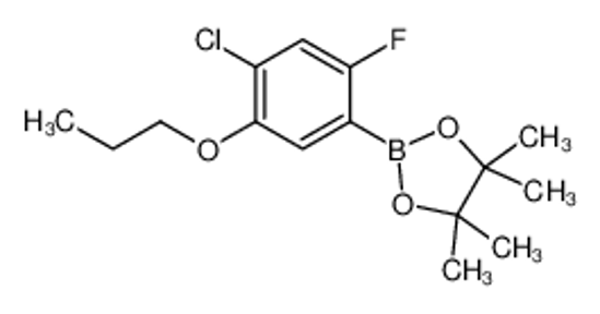 Imagem de 4-Chloro-2-fluoro-5-propoxyphenylboronic acid, pinacol ester