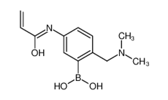 Picture of [2-[(dimethylamino)methyl]-5-(prop-2-enoylamino)phenyl]boronic acid