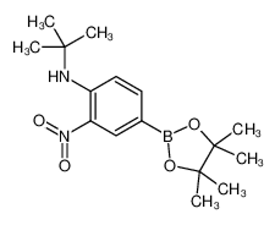 Picture of 4-(N-t-Butylamino)-3-nitrophenylboronic acid, pinacol ester