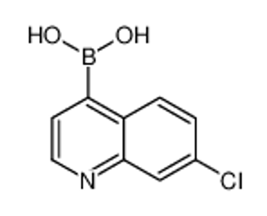 Picture of (7-chloroquinolin-4-yl)boronic acid