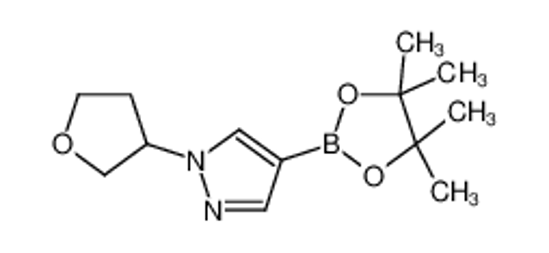 Picture of 1-(oxolan-3-yl)-4-(4,4,5,5-tetramethyl-1,3,2-dioxaborolan-2-yl)pyrazole
