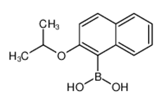 Imagem de (2-Isopropoxy-1-naphthyl)boronic acid
