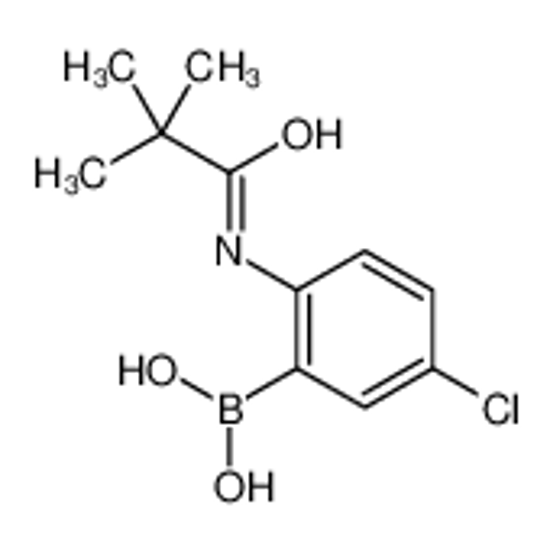 Picture of [5-chloro-2-(2,2-dimethylpropanoylamino)phenyl]boronic acid