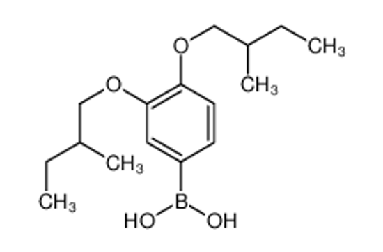 Picture of [3,4-Bis(2-methylbutoxy)phenyl]boronic acid