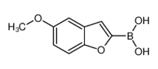 Imagem de (5-Methoxy-1-benzofuran-2-yl)boronic acid