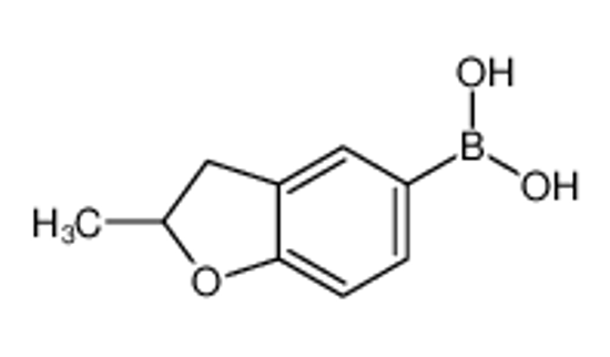 Изображение (2-methyl-2,3-dihydro-1-benzofuran-5-yl)boronic acid