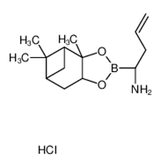 Picture of (R)-BoroAlg(+)-Pinanediol-hydrochloride