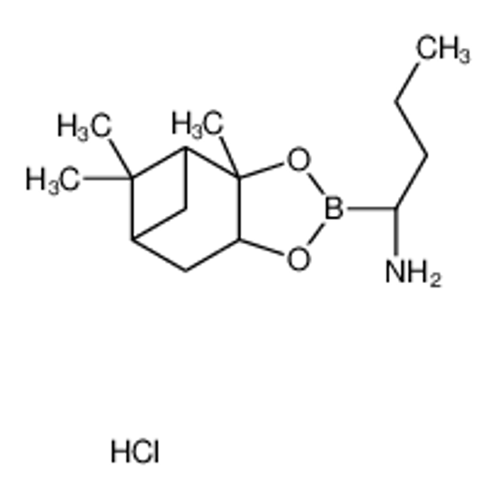 Picture of (R)-BoroAbu-(+)-Pinanediol-hydrochloride