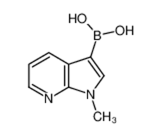 Picture of (1-methylpyrrolo[2,3-b]pyridin-3-yl)boronic acid