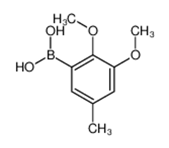 Изображение (2,3-Dimethoxy-5-methylphenyl)boronic acid