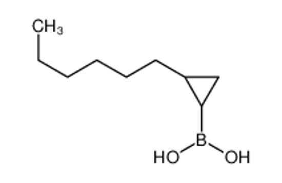 Изображение (2-Hexylcyclopropyl)boronic acid