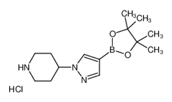 Imagem de 4-[4-(4,4,5,5-tetramethyl-1,3,2-dioxaborolan-2-yl)pyrazol-1-yl]piperidine,hydrochloride