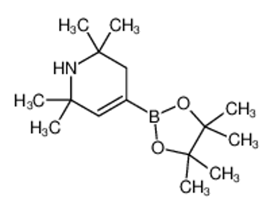 Изображение 2,2,6,6-tetramethyl-4-(4,4,5,5-tetramethyl-1,3,2-dioxaborolan-2-yl)-1,3-dihydropyridine