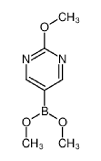 Picture of Dimethyl (2-methoxy-5-pyrimidinyl)boronate