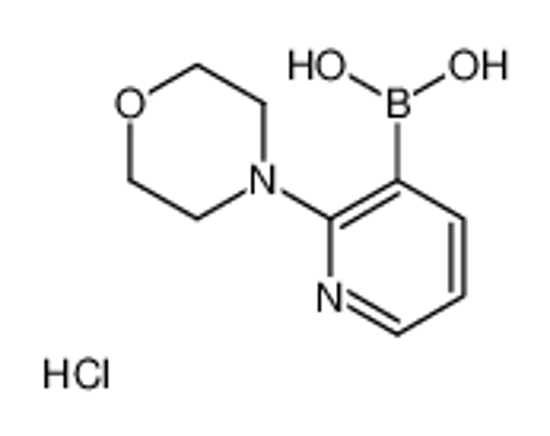 Imagem de (2-morpholino-3-pyridyl)boronic acid hydrochloride
