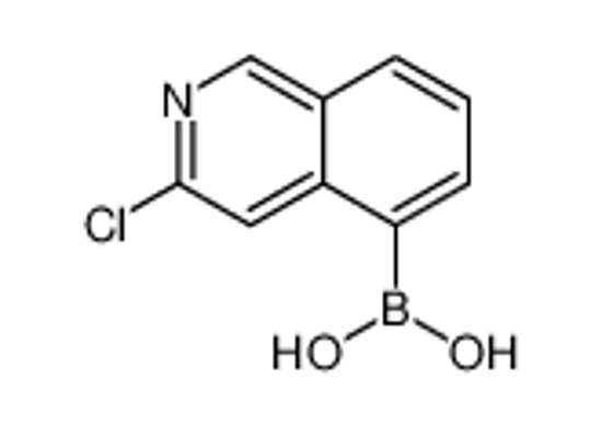 Picture of (3-chloro-5-isoquinolyl)boronic acid