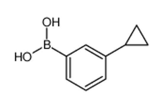 Picture of (3-Cyclopropylphenyl)boronic acid
