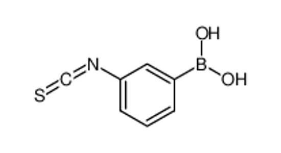 Picture of (3-isothiocyanatophenyl)boronic acid